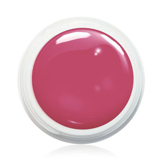 Wetlook Farbgel 1000ml - WL50