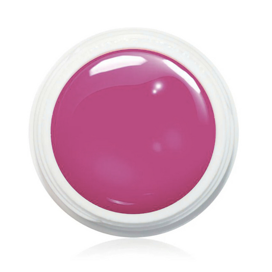 Wetlook Farbgel 1000ml - WL55