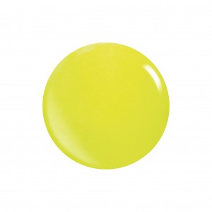 Acryl Puder NEON Farben 453g