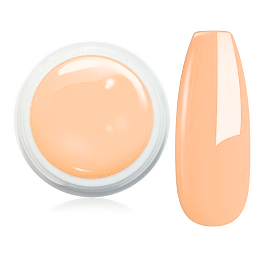 Wetlook Farbgel 5ml - WL43