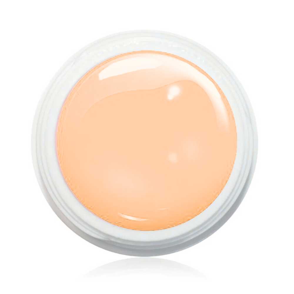Wetlook Farbgel 5ml - WL43