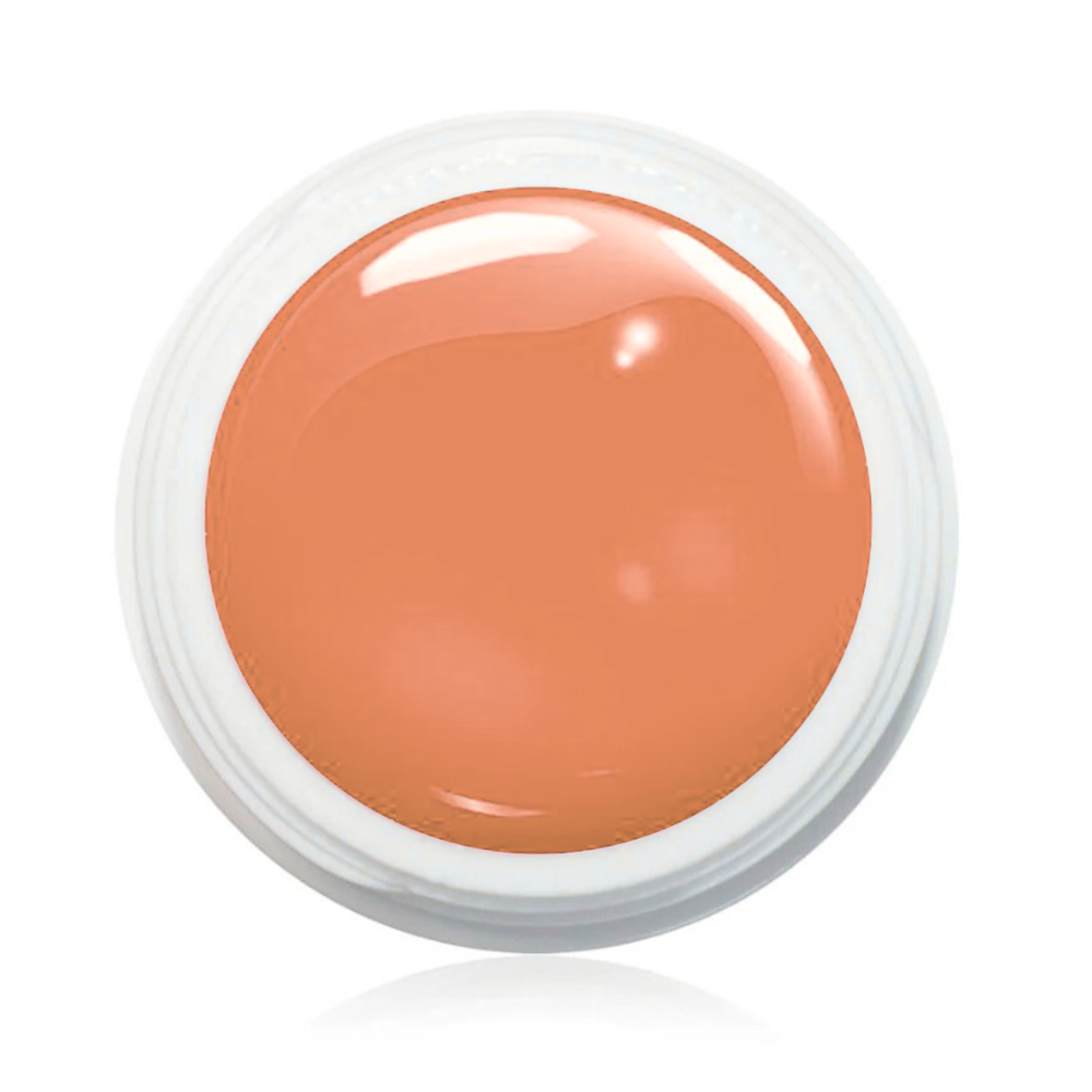 Wetlook Farbgel 5ml - WL39
