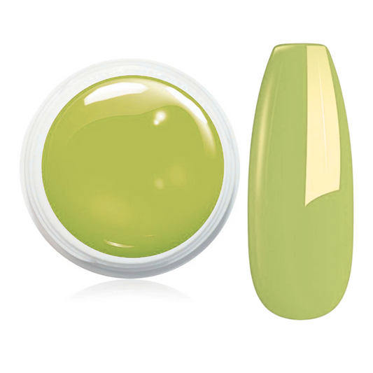 Wetlook Farbgel 5ml -  WL93