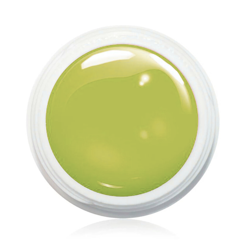 Wetlook Farbgel 5ml -  WL93