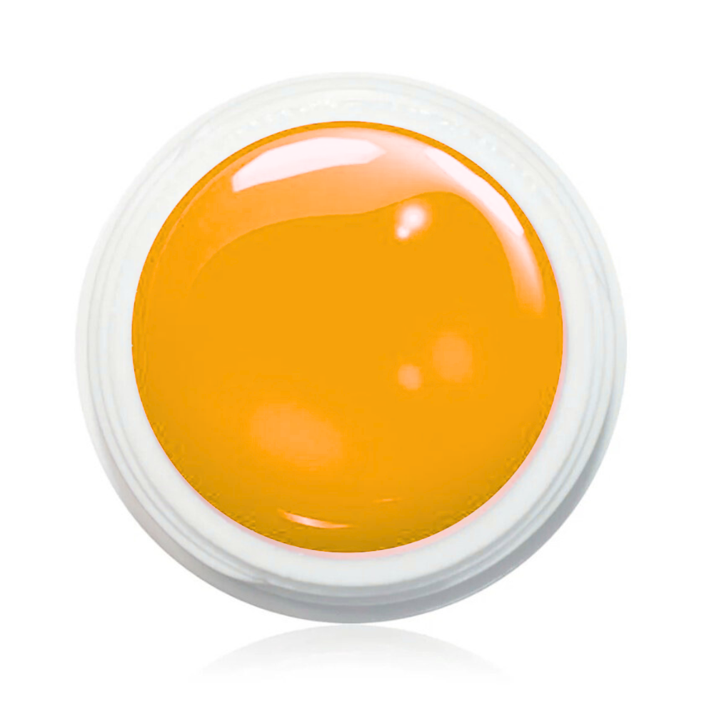 Wetlook Farbgel 5ml -  WL821