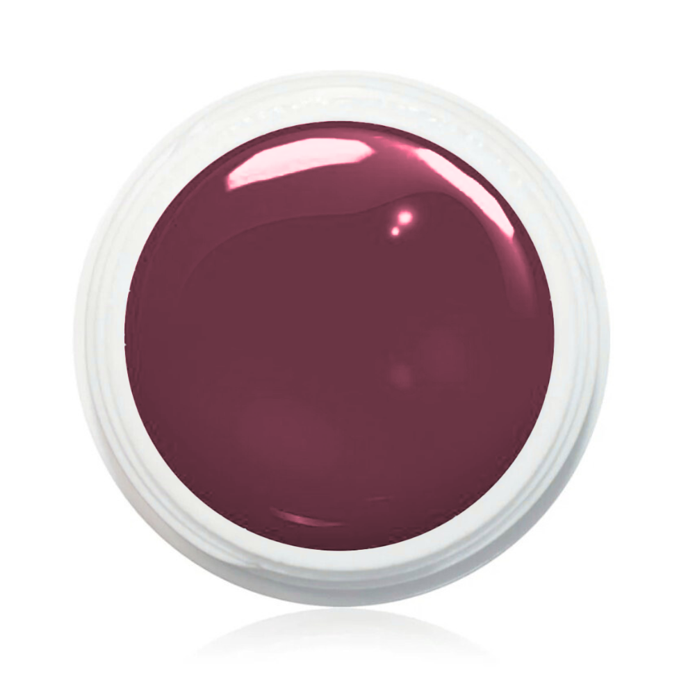 Wetlook Farbgel 5ml -  WL02