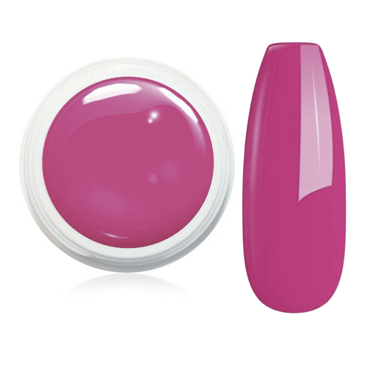 Wetlook Farbgel 5 ml -  WL55